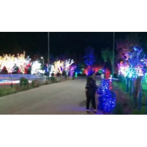 巴中苏山坪乡办童年